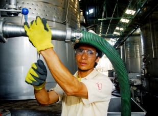 Enfermedades profesionales: el gran desafío de la seguridad laboral 