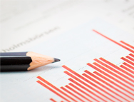 Memoria anual integrada