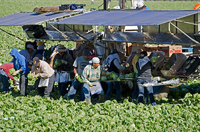  accidentes laborales en el agro regional registran importante caída de un 25% 