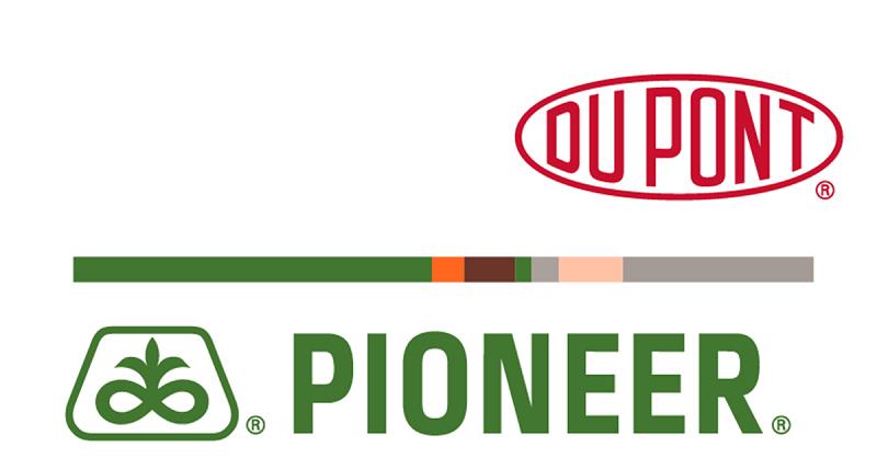 Pioneer desarrolla con éxito campaña preventiva de manos