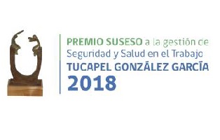 Premio a la gestión de seguridad y salud en el trabajo "tucapel gonzález garcía" 2018