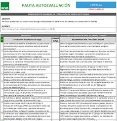 Pauta autoevaluación