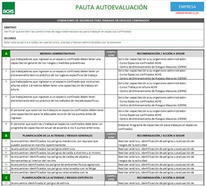 Pauta autoevaluación 