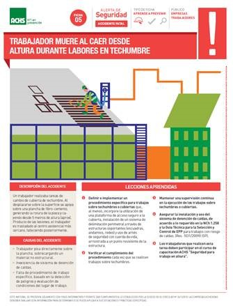 Alerta fatal - Techumbre