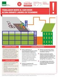 Alerta fatal - Techumbre