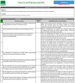 Pauta autoevaluación 
