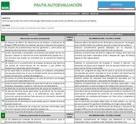 Pauta autoevaluación