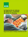 Ergonomía en labores de selección y embalaje de frutas en packing