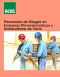 Prevención de riesgos en empresas dimensionadoras y distribuidoras de fierro