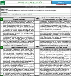 Pauta autoevaluación