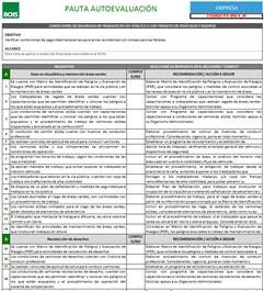 Pauta autoevaluación