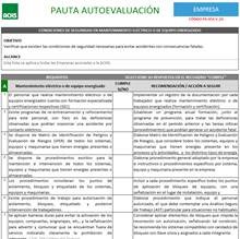 Pauta evaluación