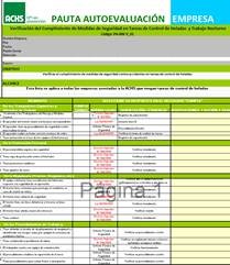 Pauta autoevaluación