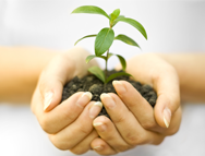 Superintendencia del medio ambiente: comienza la fiscalización con importantes sanciones a las empresas infractoras