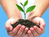 Día mundial del medio ambiente