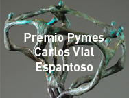Premio carlos vial espantoso