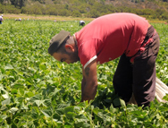 Lo que debes saber de los trabajos de verano y temporada