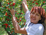 ACHS capacitará gratis para prevenir los efectos de radiación uv