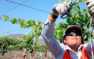 Radiación uv: el rol de las empresas y el cuidado de los trabajadores