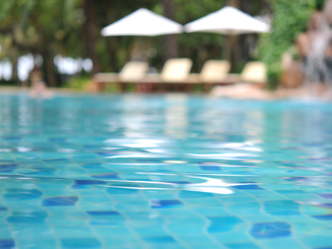 Paseos y fiestas de fin de año: Qué considerar y cómo organizarlas de forma segura