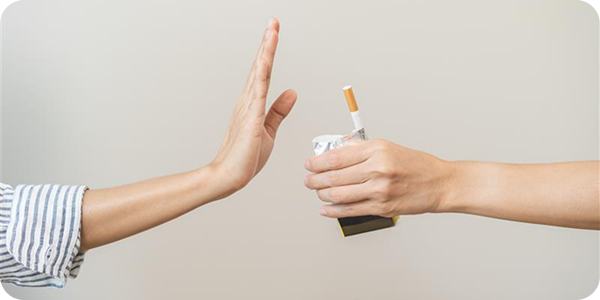 Alimentación banner