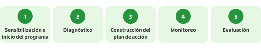 5 etapas